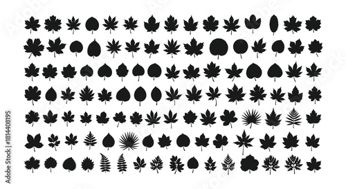 A collection of various black silhouette leaf shapes arranged in a grid pattern
