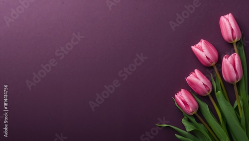 Pink Tulips Arranged Elegantly on a Deep Purple Surface for a Fresh Spring Look