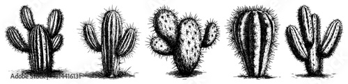 Desert cactus collection various succulents vintage engraved vector illustration