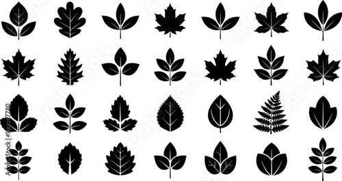 Large Collection of Diverse Leaf Silhouettes Vector Set, Featuring Maple, Oak, and Fern Shapes, Nature, Ecology, and Botanical Graphic Elements.