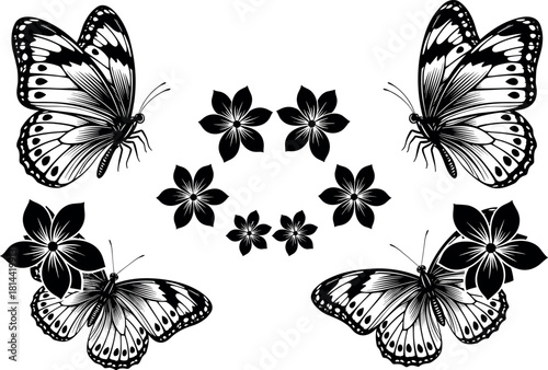 Symmetrical Butterfly and Flower Silhouette Set, Detailed Wing Patterns, Elegant Black and White Insect Nature Design Collection for Graphic Templates.