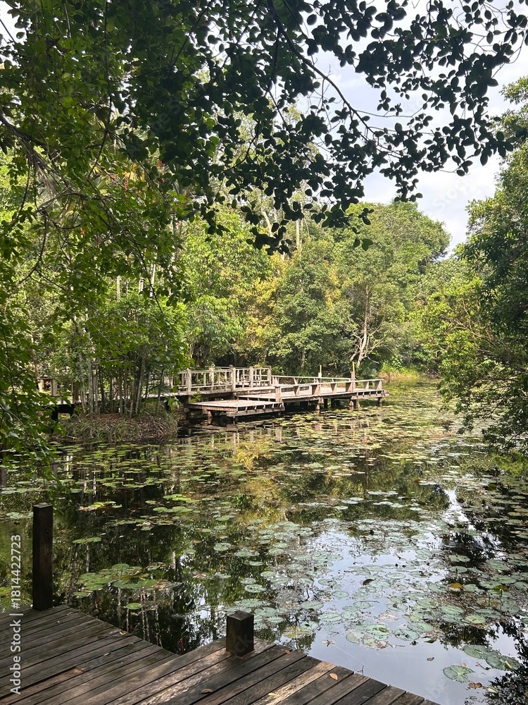 Obraz premium wooden bridge over the lake