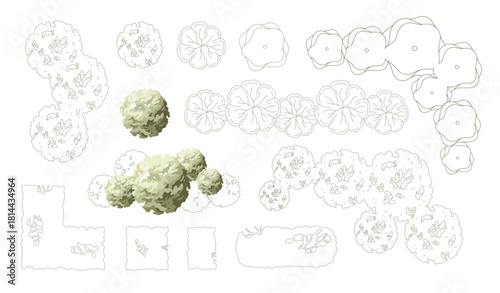 Top view trees for architectural plans and landscape design. Minimal vector illustration for urban planning, site plans, and architectural entourage.