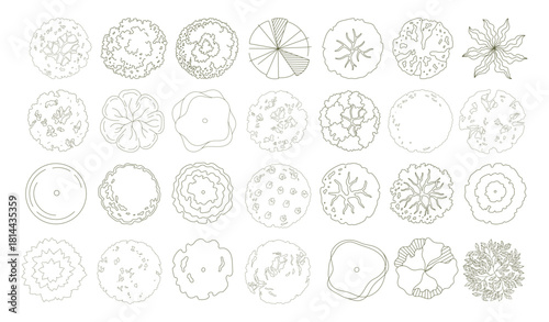 Top view trees for architectural plans and landscape design. Minimal vector illustration for urban planning, site plans, and architectural entourage.