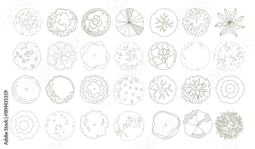 Tapety Top view trees for architectural plans and landscape design. Minimal vector illustration for urban planning, site plans, and architectural entourage.