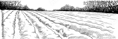 Black and white illustration showing rows of freshly tilled crops in a field, with leafless trees lining the distant horizon.