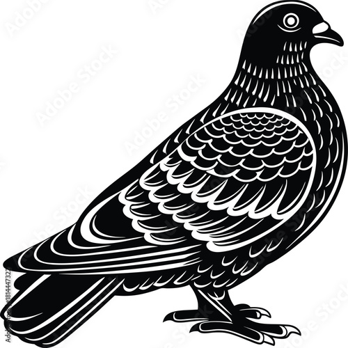 Black and white stylized illustration of a pigeon standing, isolated on white background