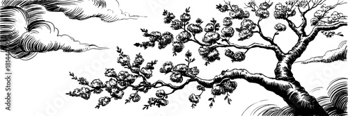 A flowering tree branch with textured clouds, ideal for nature art, botanical design, or traditional print motifs.