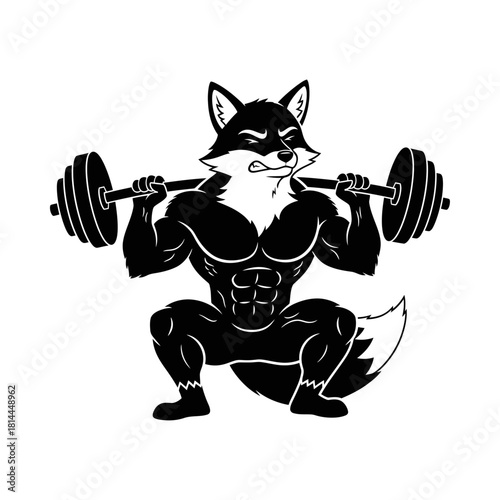 Tough Fox Wolf Gym Mascot Squatting with Barbell Vector