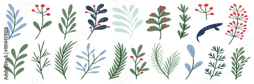 Festive botanical collection with red berries and winter leaves. Minimal floral twigs and branches in calm colors. Elegant design for Christmas decorations
