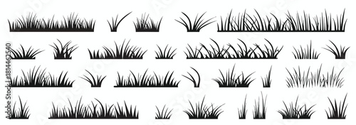 Grass silhouette collection with natural blades in various lengths and shapes. Perfect for landscape, nature, and garden scenes
