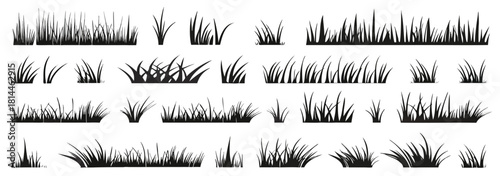Grass silhouette collection with natural blades in various lengths and shapes. Perfect for landscape, nature, and garden scenes
