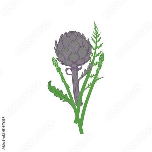 A minimalist vector poster featuring an outline illustration of a fresh purple artichoke and green asparagus, a simple and elegant food design