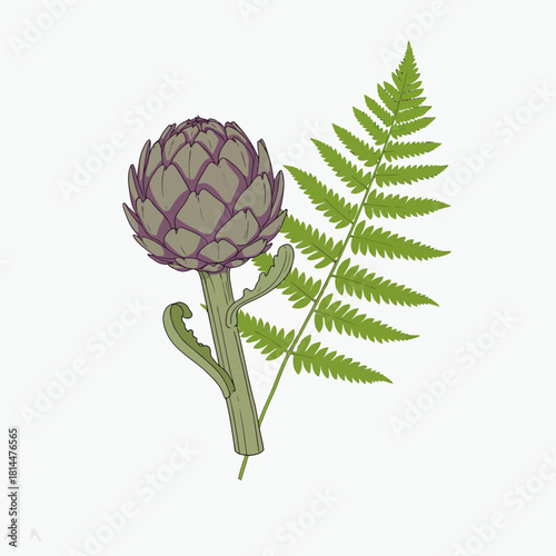 A beautifully detailed vector poster design featuring a bold outline illustration of a fresh artichoke vegetable and a green fern leaf, isolated on a white background