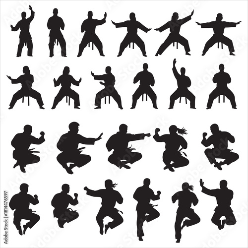 Martial arts fighter silhouettes vector set