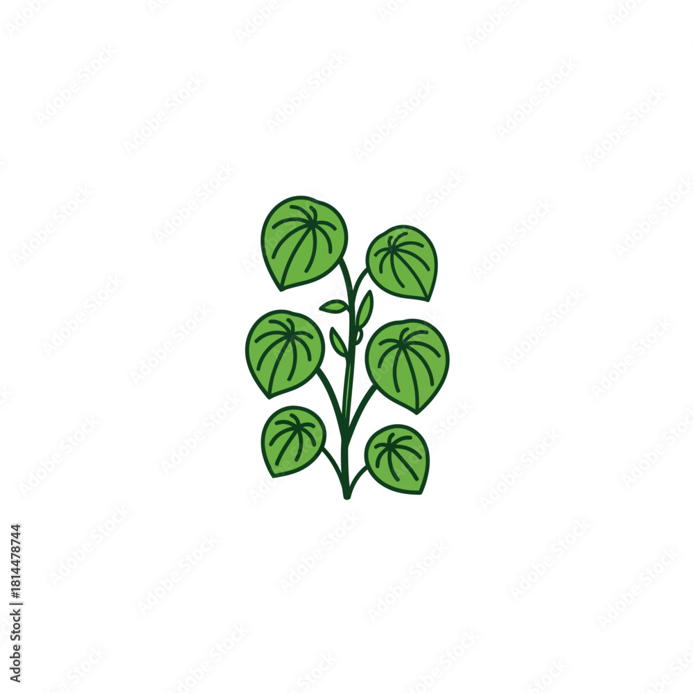 Obraz premium Minimalist vector line art of a houseplant stem with round, veined leaves. An isolated green foliage icon for botanical design