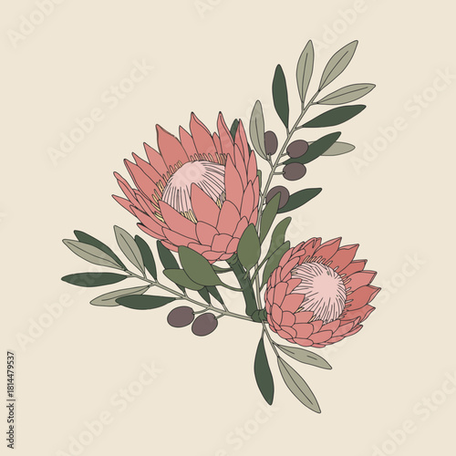 Elegant vector illustration of a dreamy protea flower bouquet with olive branches, a beautiful cascading arrangement for wedding decor and invitations