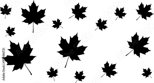 black maple leaves on white background; autumn design element
