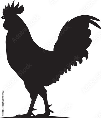Rooster Chicken Bird Silhouette Vector
