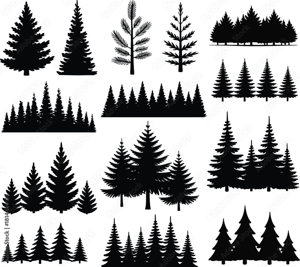 Fototapeta premium Pine and spruce tree silhouettes forest nature design elements
