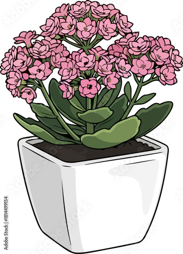 everblooming charm modern pink succulent infusing spaces with lively, fresh energy, isolated on transparent background