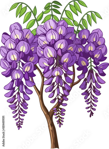 gravitys gentle art wisterias lush purple flow for poetic visual narratives, isolated on transparent background