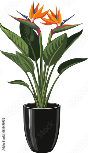 sculpted sunlight exotic bloom unfurls vibrant artistry, infusing spaces with life, isolated on transparent background