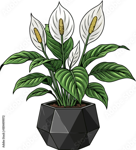 stylish peace lily illustration modern serenity for contemporary home and office decor, isolated on transparent background