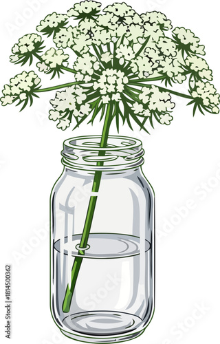 wildflowers echo simplicity captured in a moment of graceful serenity, isolated on transparent background