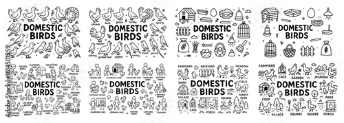 Domestic birds icons set: ducks, chickens, geese
