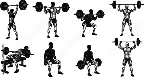 Bodybuilder workout illustration set, muscular man lifting barbell, detailed anatomy fitness vector, gym weightlifting exercises collection, strength training sport