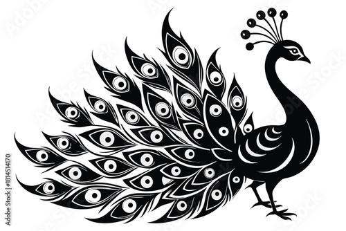 elegant peacock silhouette with luxurious tail feather