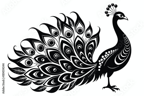 elegant peacock silhouette with luxurious tail feather