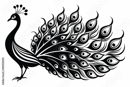 elegant peacock silhouette with luxurious tail feather