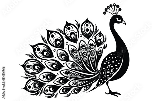 elegant peacock silhouette with luxurious tail feather