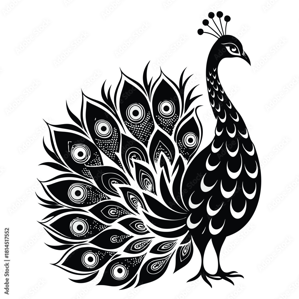 Fototapeta premium elegant peacock silhouette with luxurious tail feather
