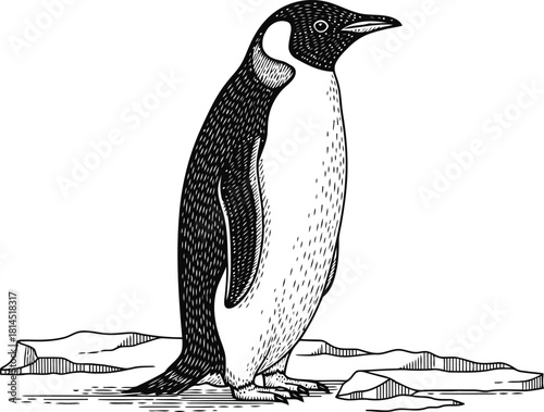 Penguin standing on ice in a dark, striking silhouette, captured in a monochrome style