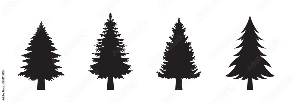 Fototapeta premium pine tree vector design with black silhouette and white background