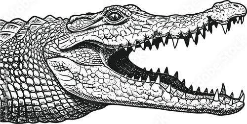 Predatory alligator head with wide open mouth revealing sharp teeth and scaly skin.