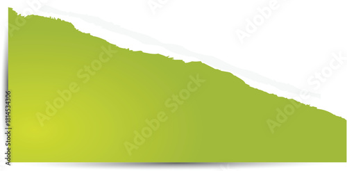 torn paper with green background