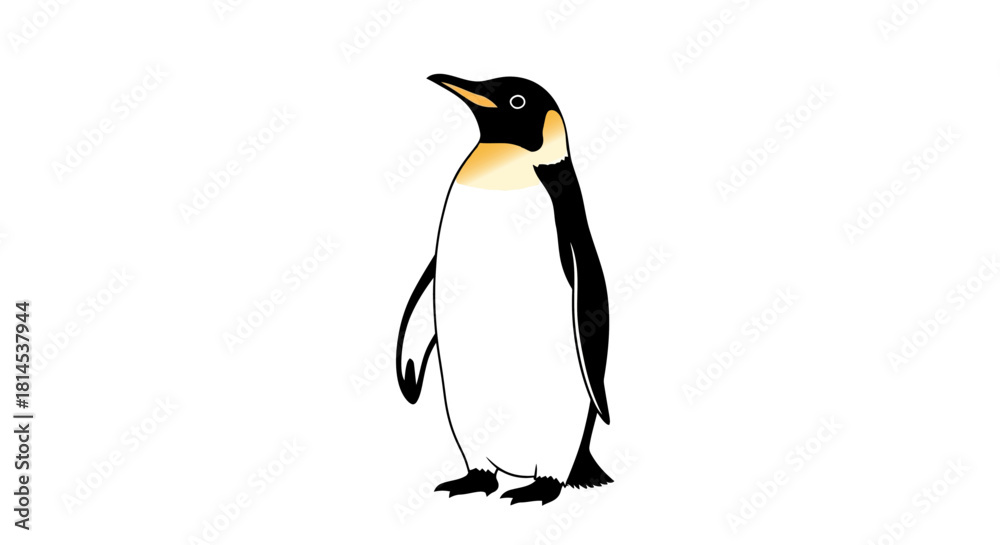 Fototapeta premium Cute Emperor Penguin Illustration Standing Isolated on White Background