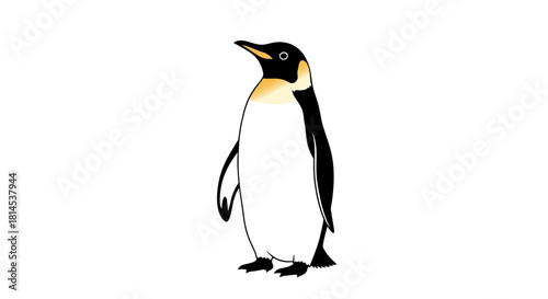 Cute Emperor Penguin Illustration Standing Isolated on White Background