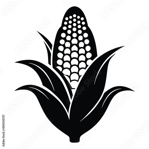 corn cob black and white silhouette on white background