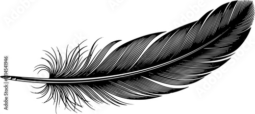 A black feather is isolated on white background, creating a simple yet elegant image

