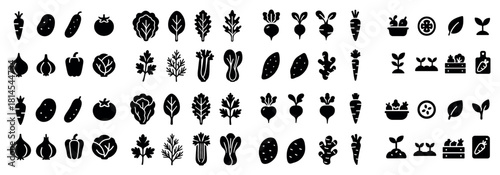 Vegetable icons set — carrot, tomato, onion, herb