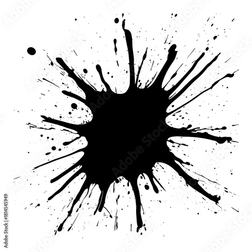 A detailed black vector splash