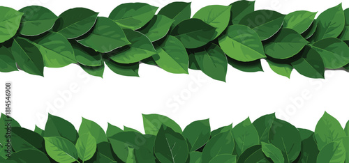 Natural green leaf border background with dense foliage pattern, vibrant botanical decoration, eco friendly design element for nature themed projects and layouts