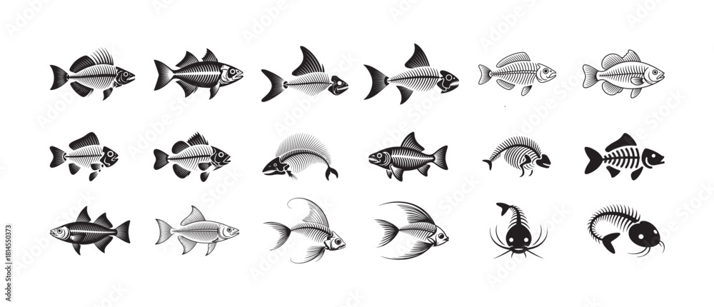 Obraz premium Extensive collection of diverse fish skeletons and whole fish illustrating various aquatic species