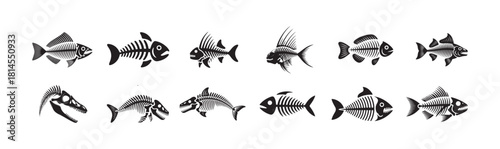 Fish skeletons vector set, fish bones collection flat design marine icon pack black isolated on white background