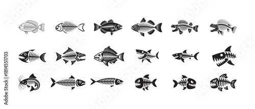Set of twenty diverse fish and fish skeleton illustrations on a white background, ideal for education